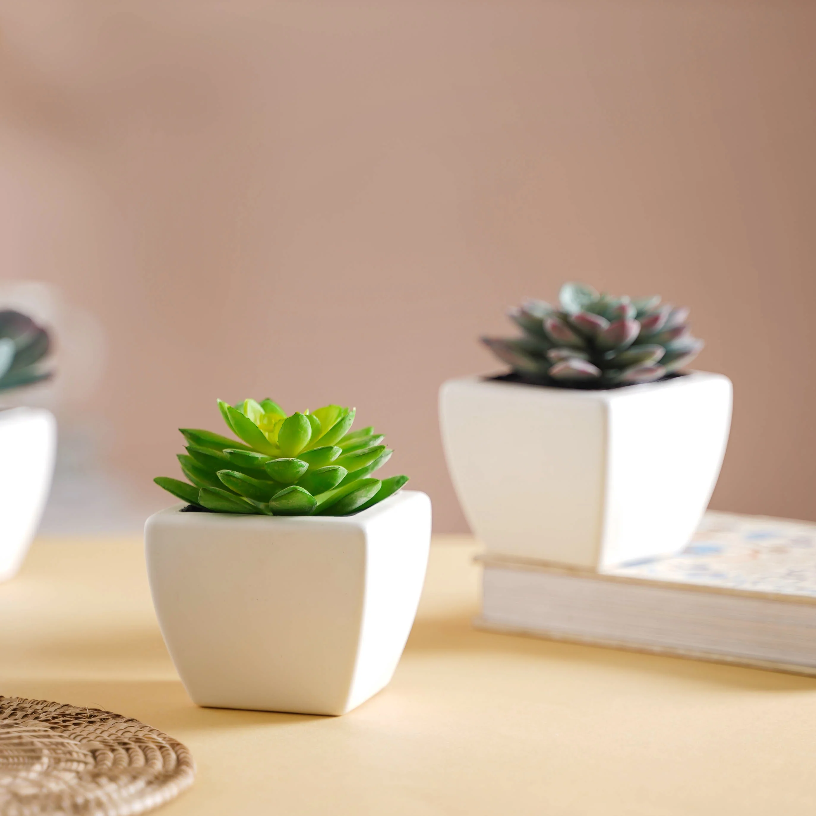 Faux Succulent Plant - Image 5