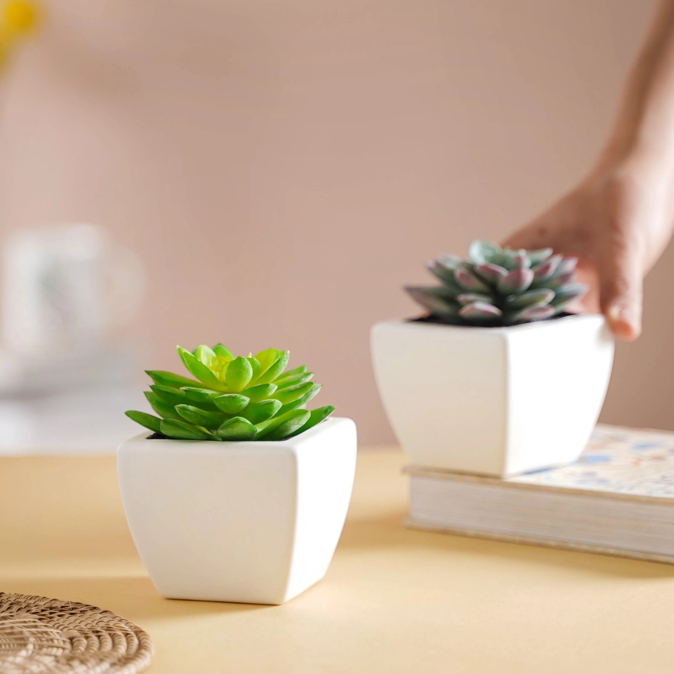 Faux Succulent Plant - Image 6