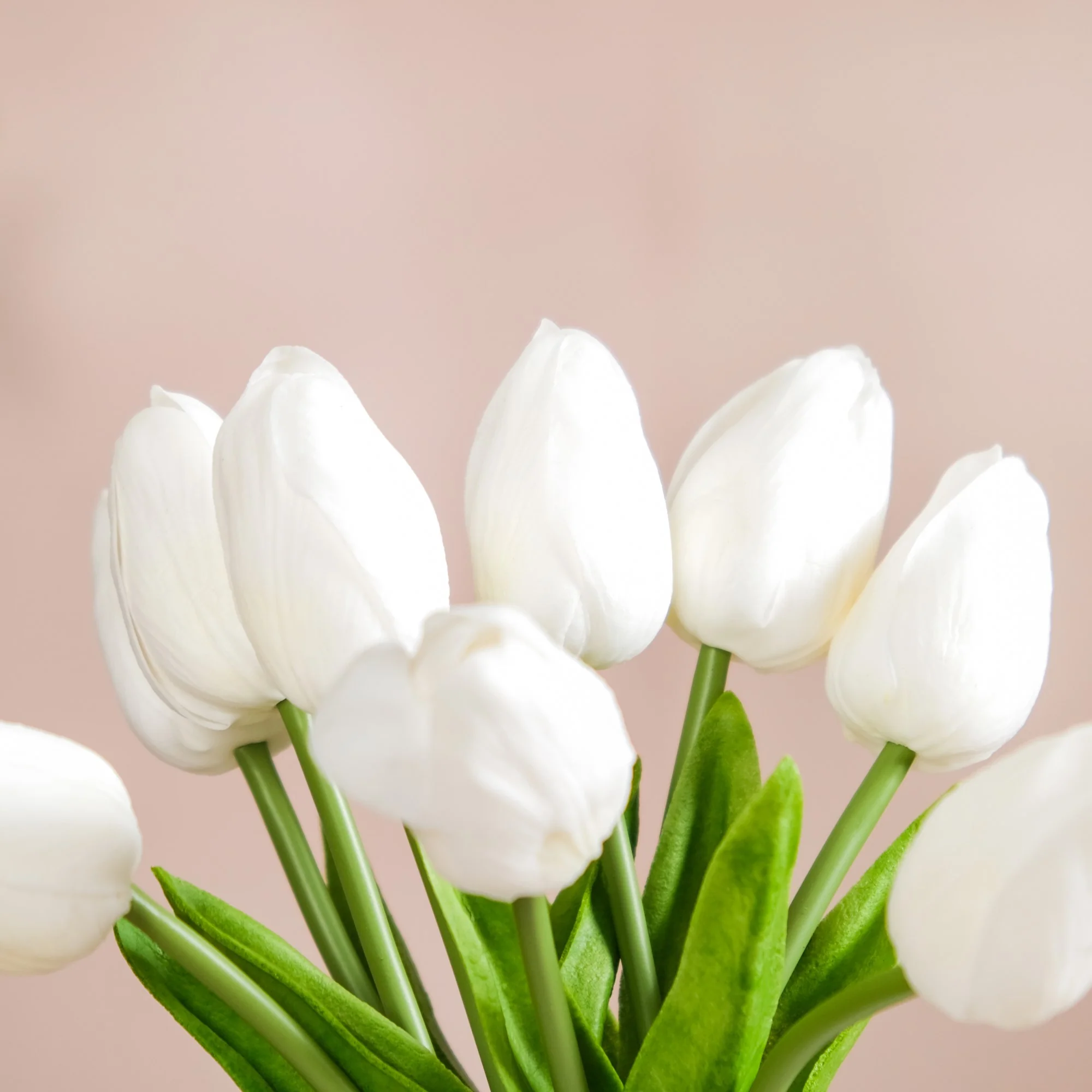 Faux Tulip - Image 9