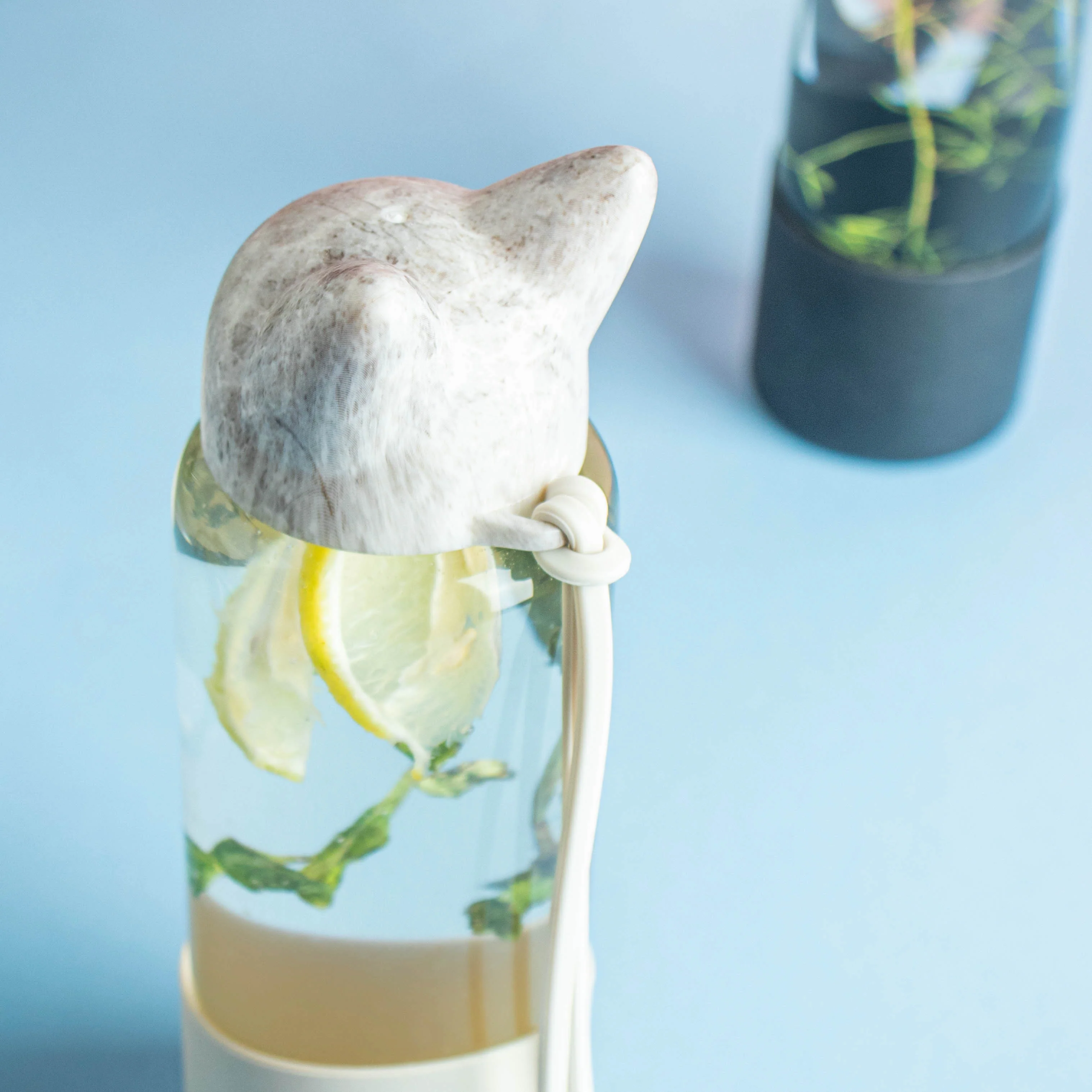 Fox ear Bottle - Image 7