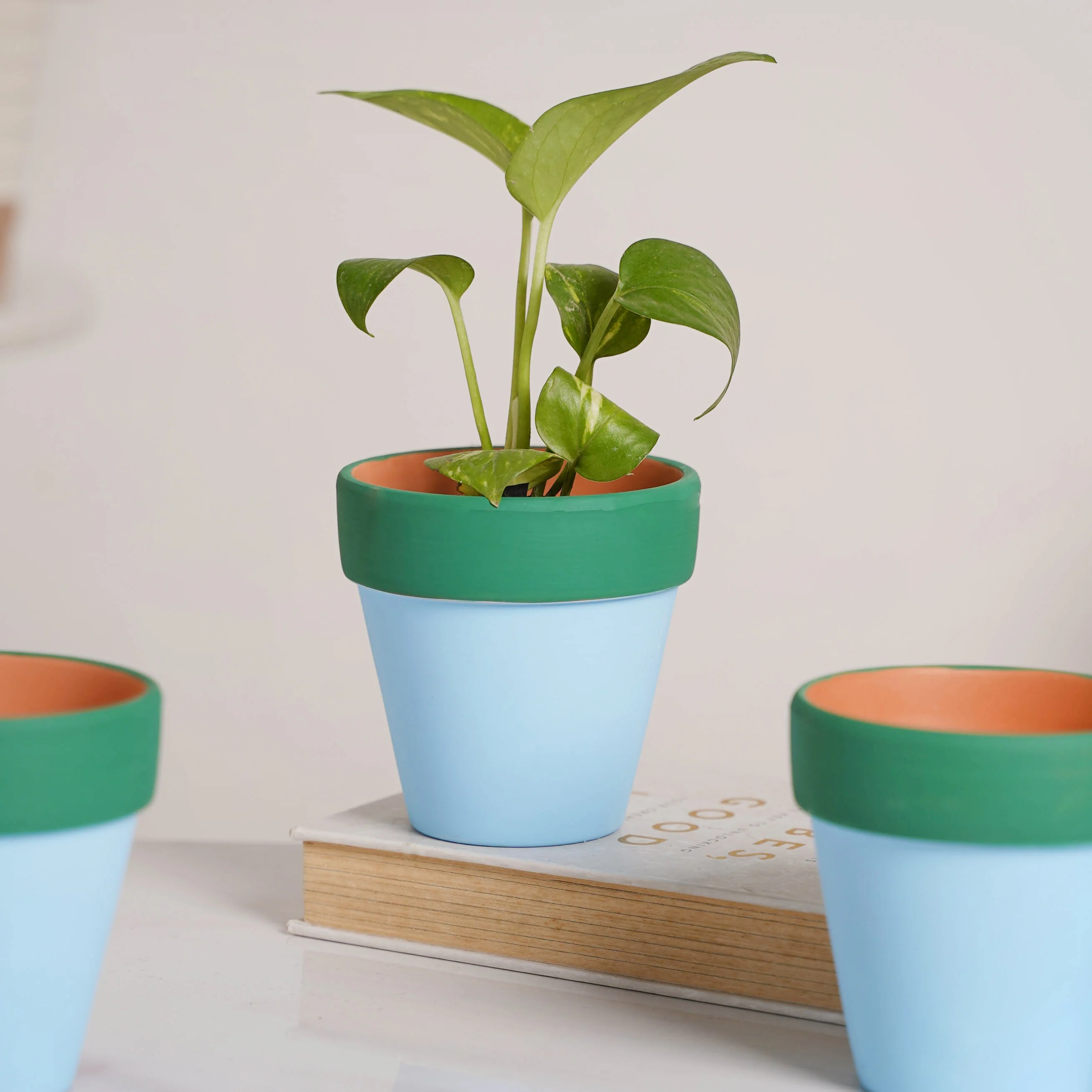 Green Rim Light Blue Clay Pot Set Of 4 - Image 9