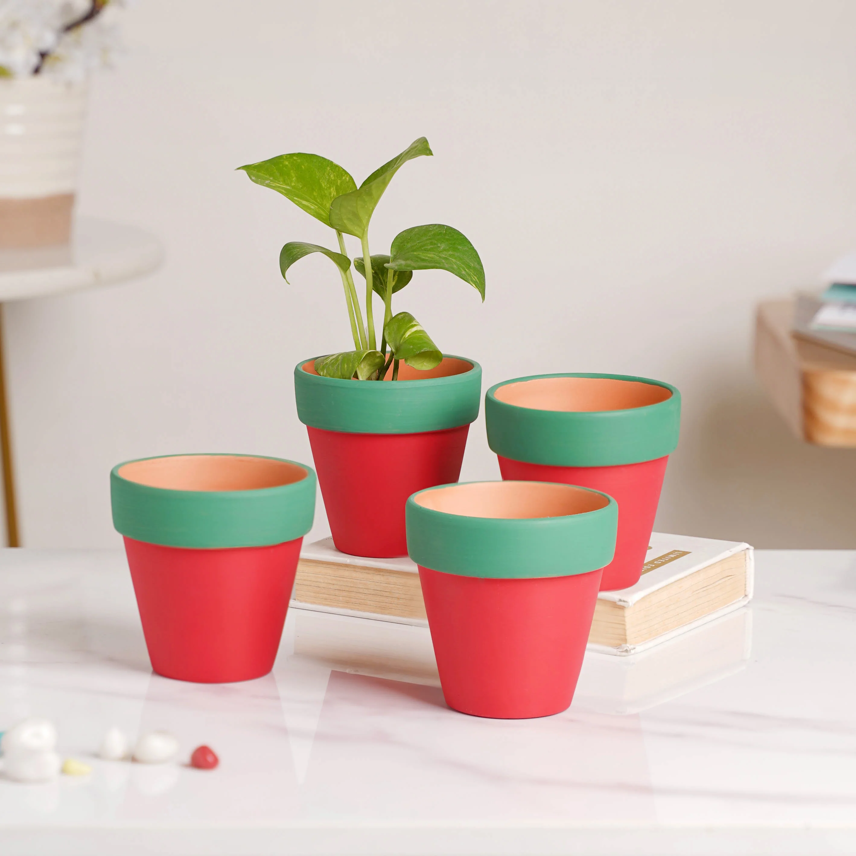 Green Rim Red Clay Pot Set Of 4 - Image 6