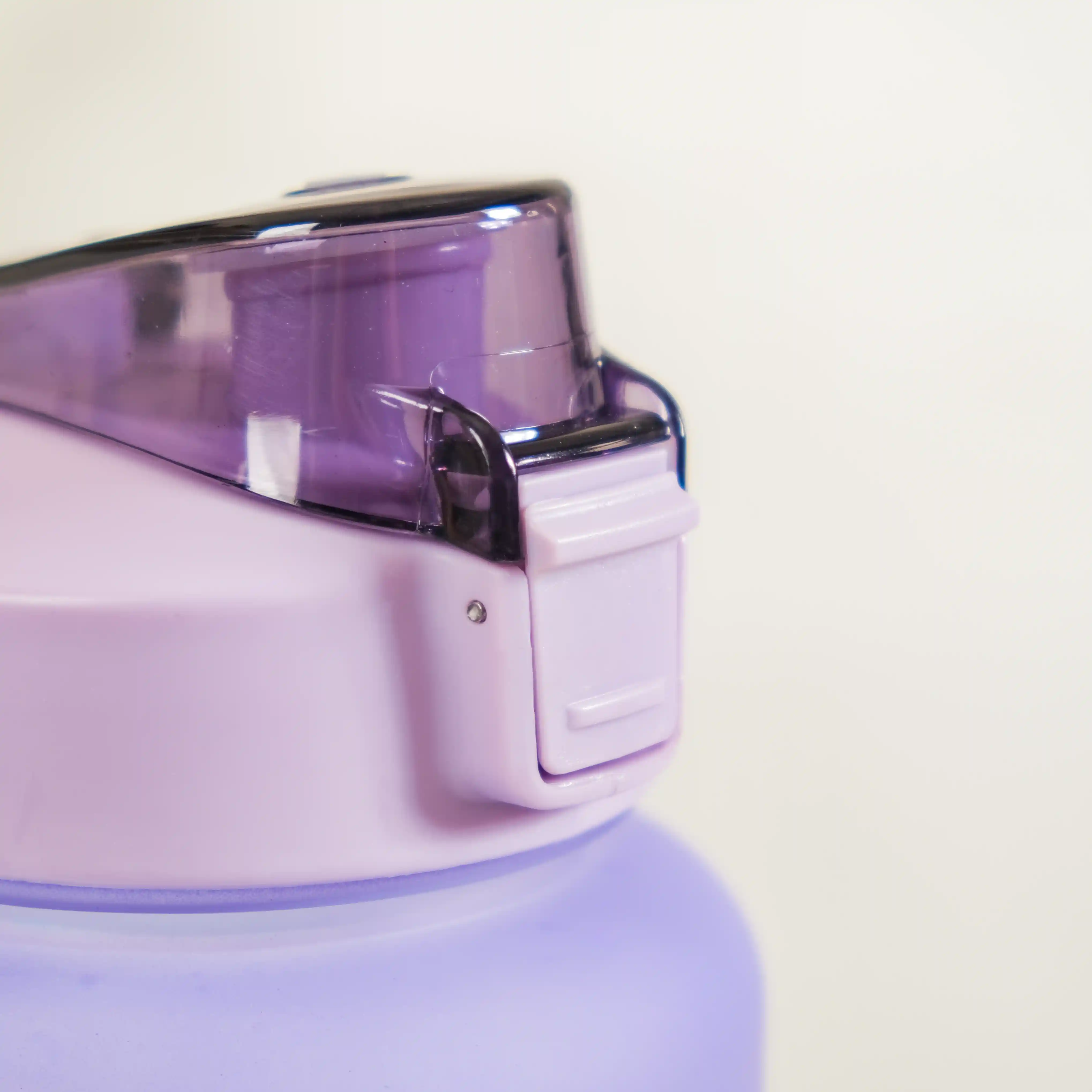 Gym Motivational Water Bottle Set Of 3 Lavender Blue - Image 15