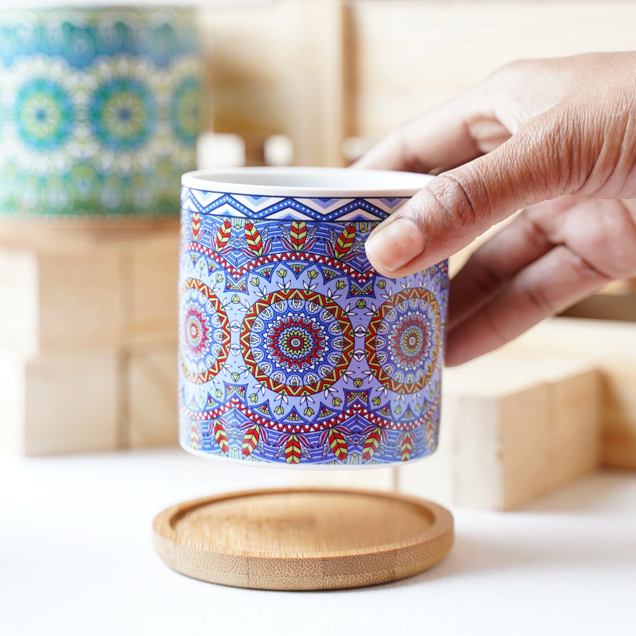 House Plant Pots - Image 10