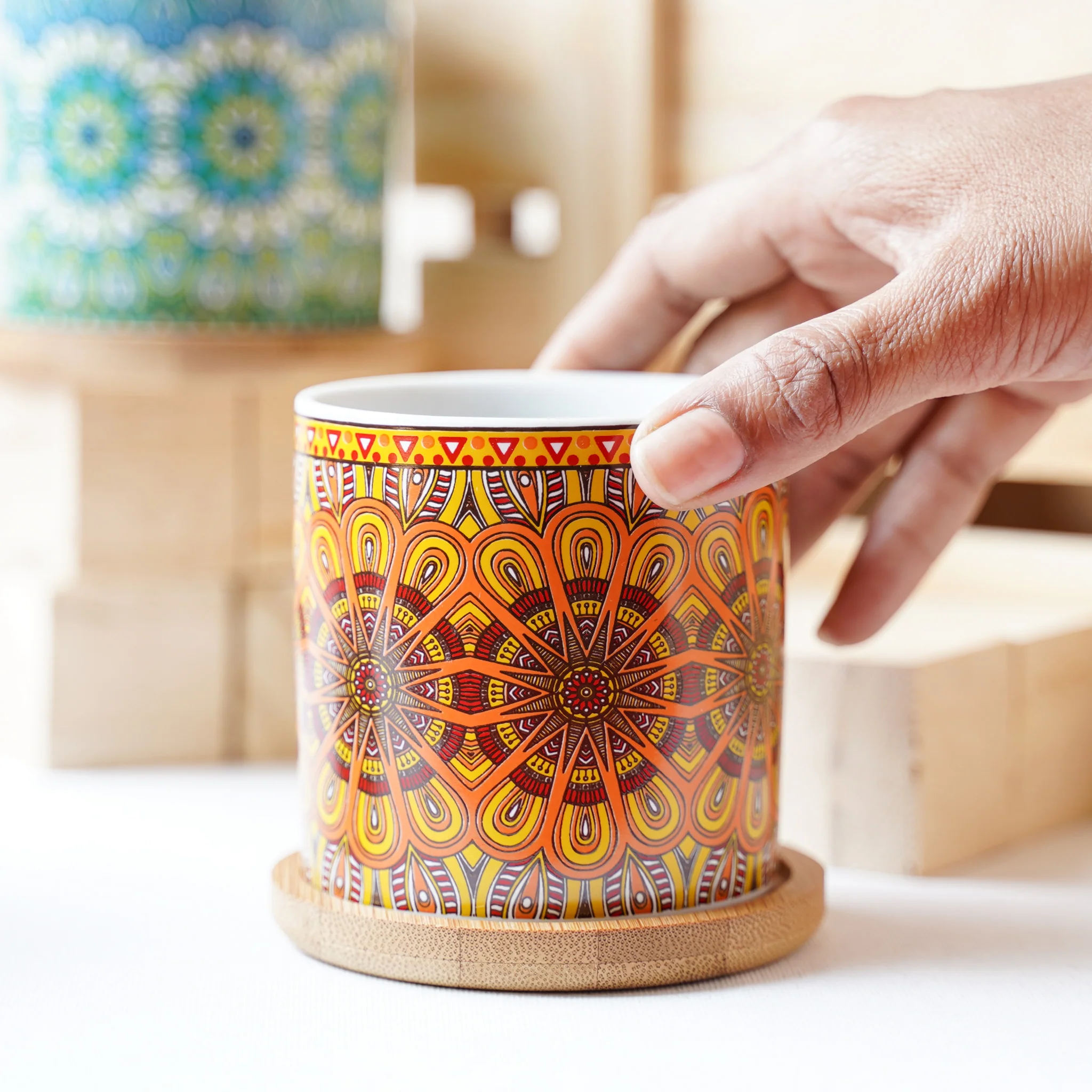 House Plant Pots - Image 12