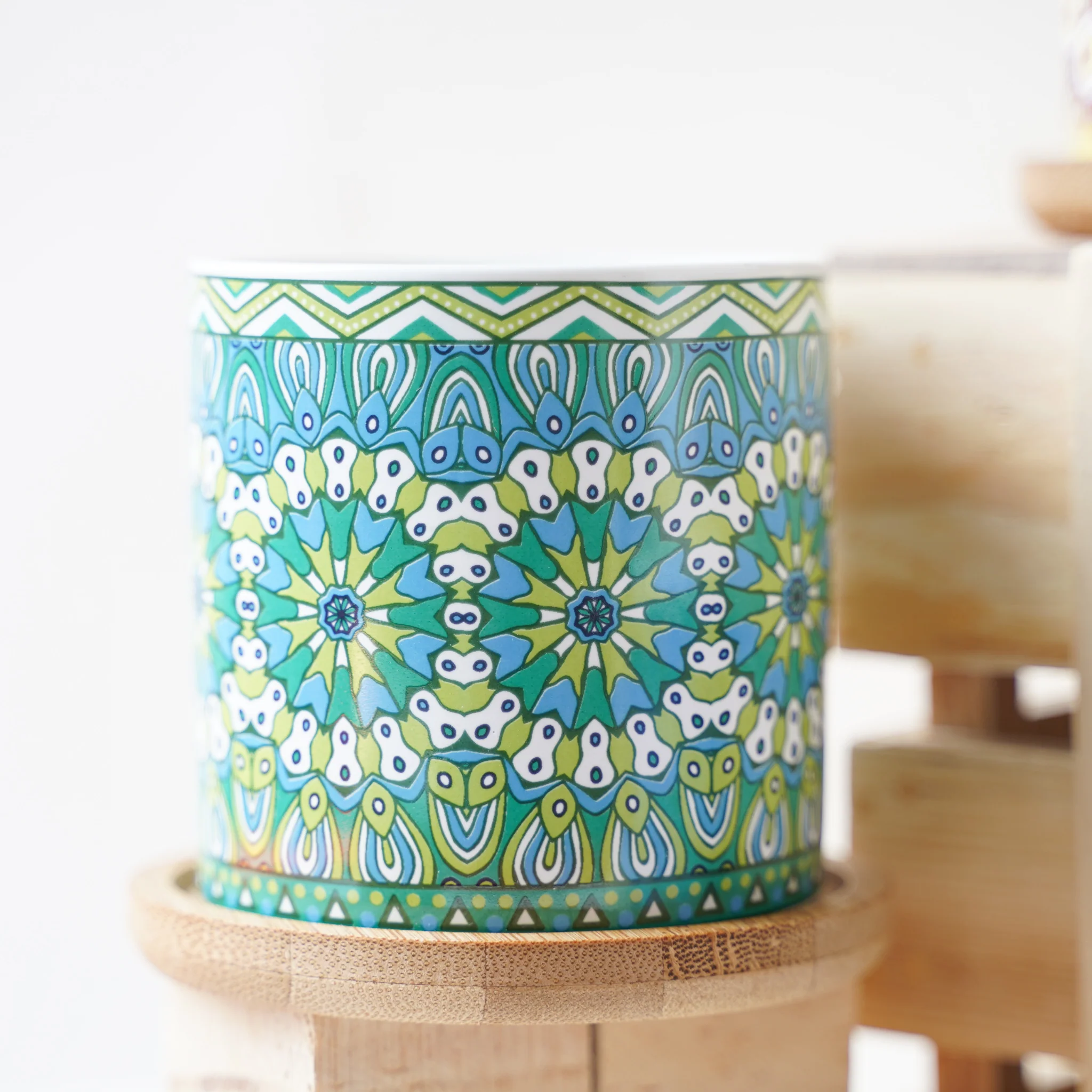 House Plant Pots - Image 17