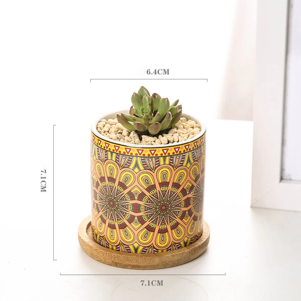 House Plant Pots - Image 22