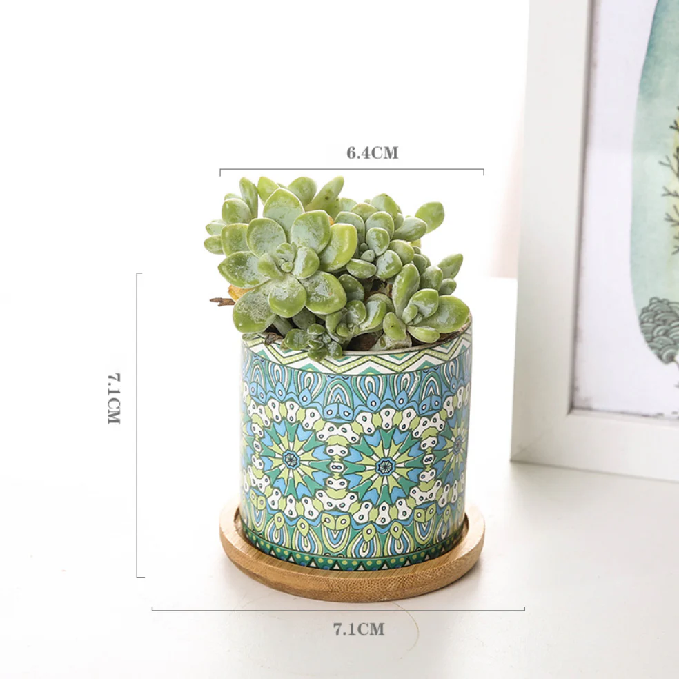 House Plant Pots - Image 23