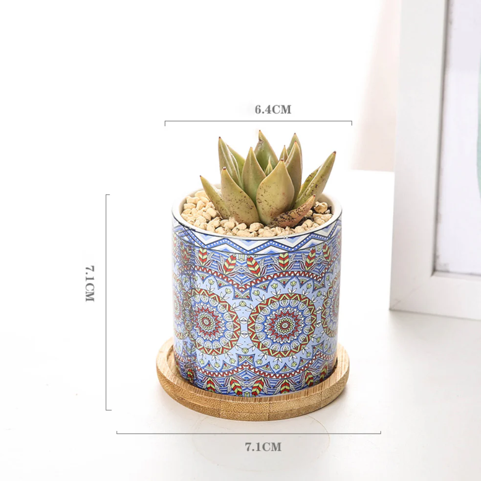 House Plant Pots - Image 25