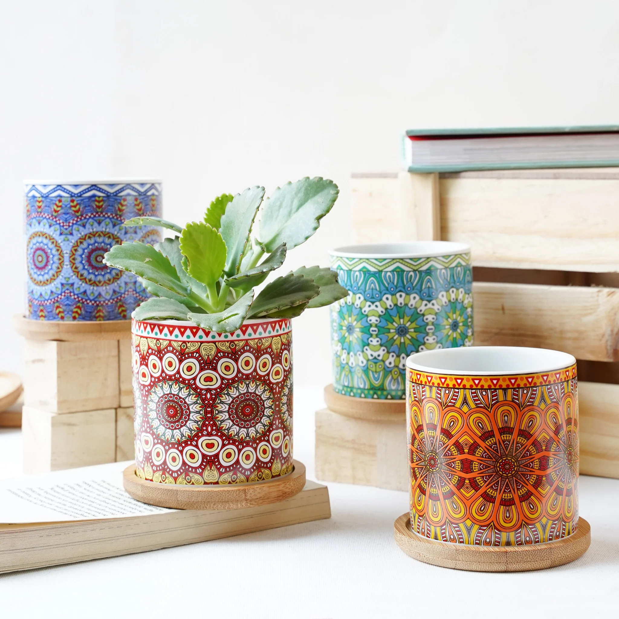 House Plant Pots - Image 3