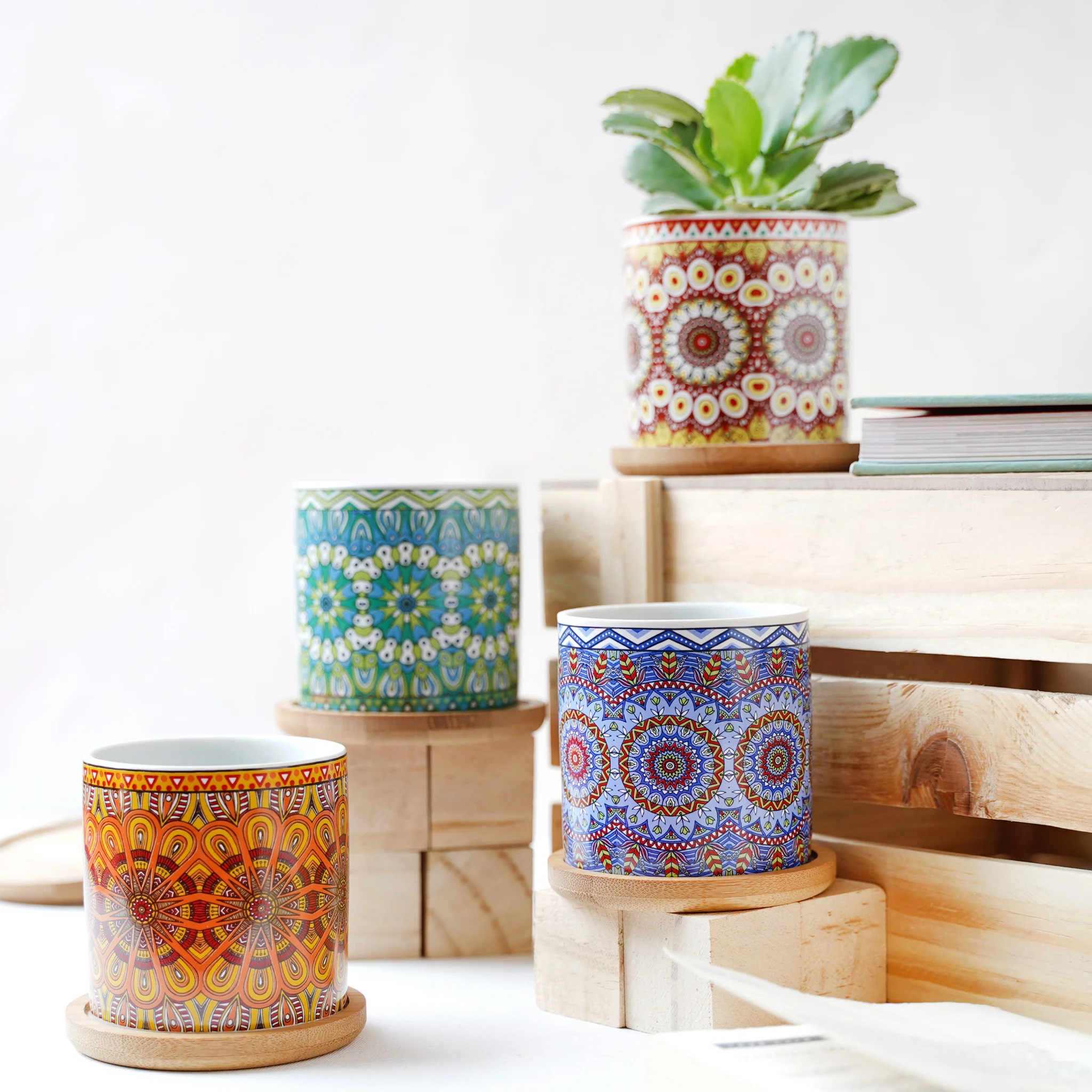 House Plant Pots - Image 6