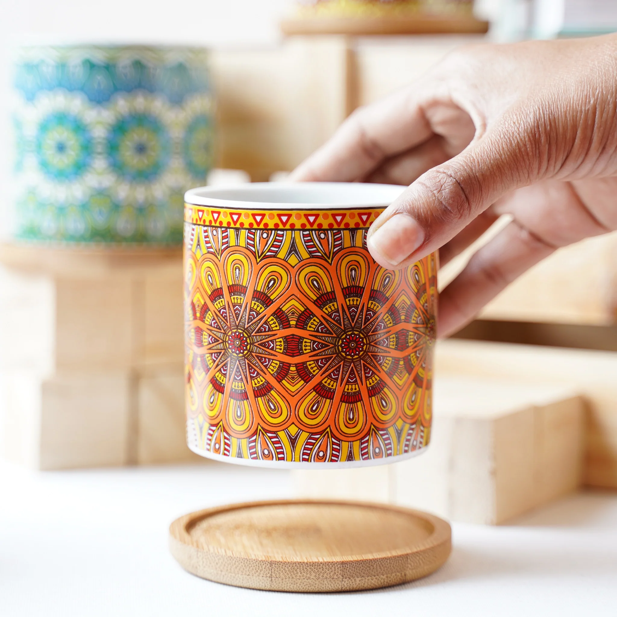 House Plant Pots - Image 8