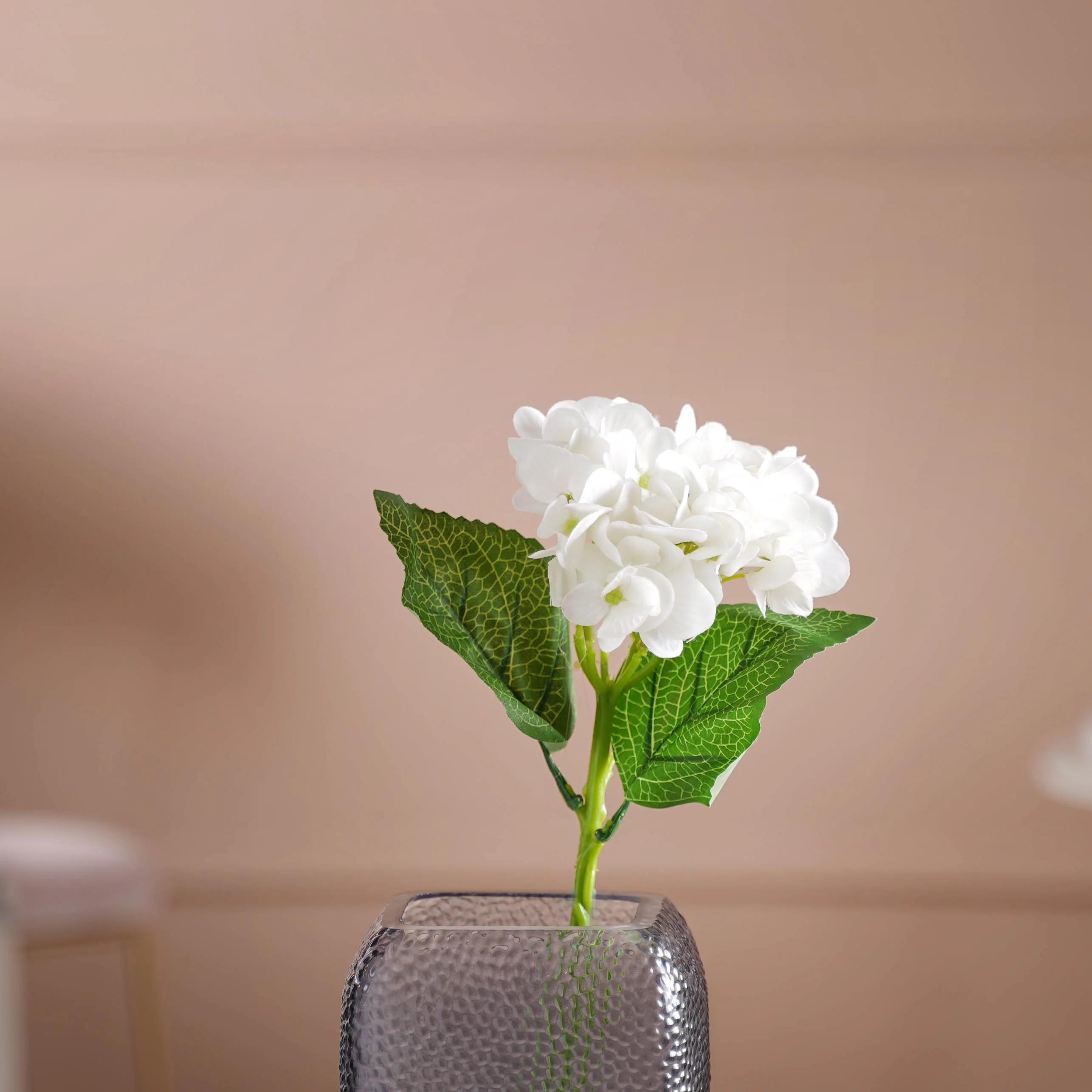 Hydrangea Blossom - Image 10