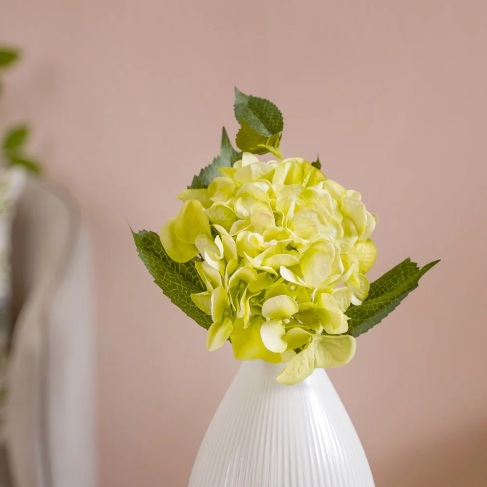 Hydrangea With Leaves Green - Image 3