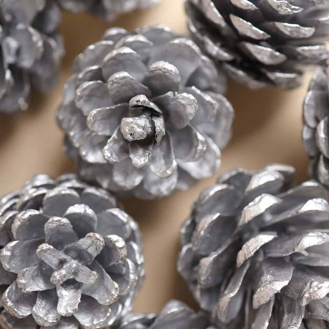 Large Pine Cones - Image 11