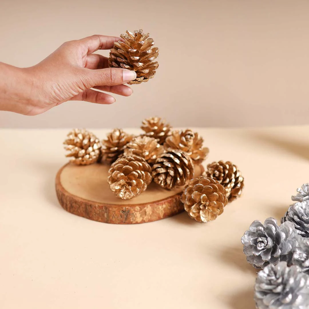 Large Pine Cones - Image 2