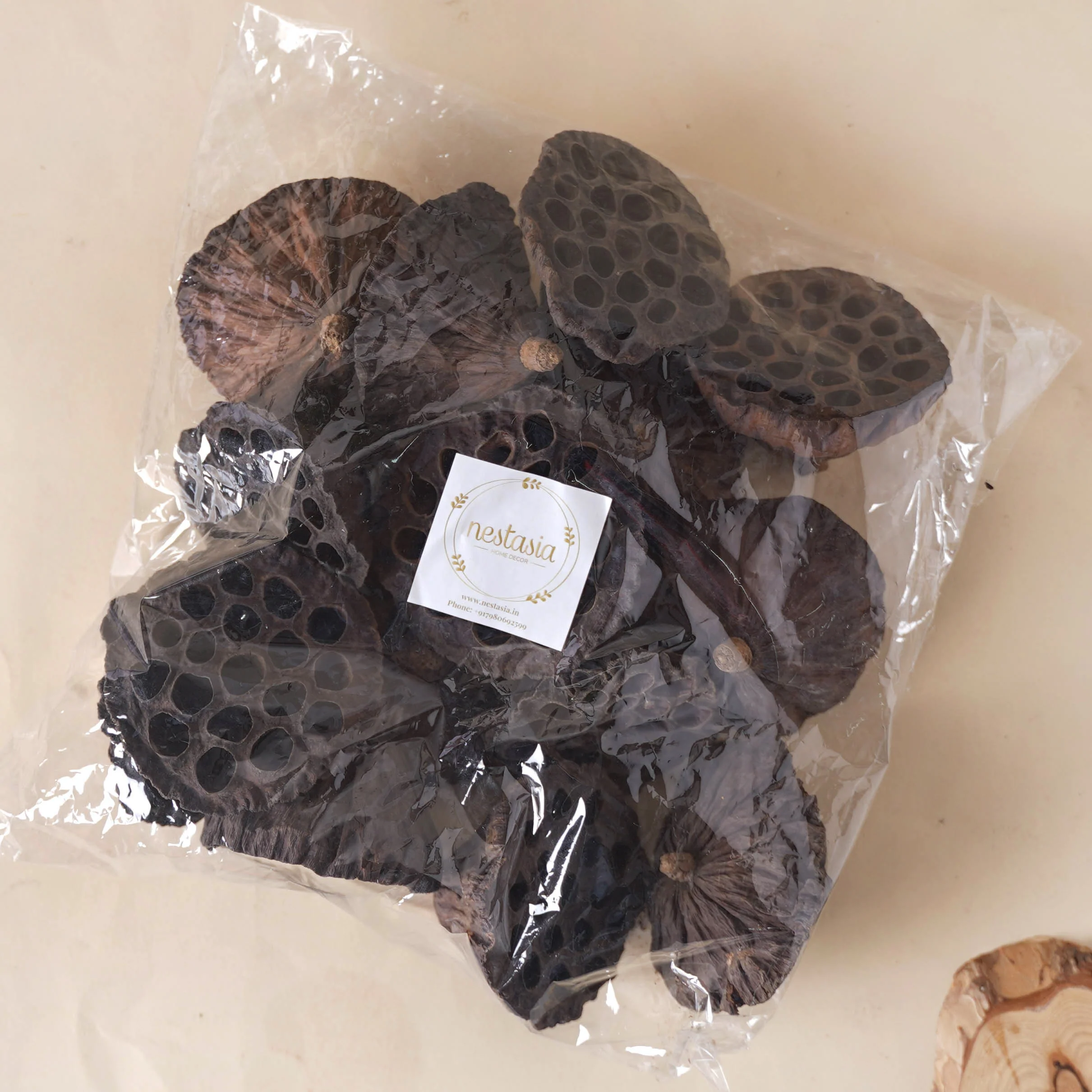 Lotus Pod - Image 5