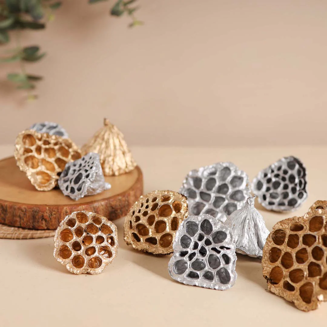 Lotus Pod For Decor - Image 4