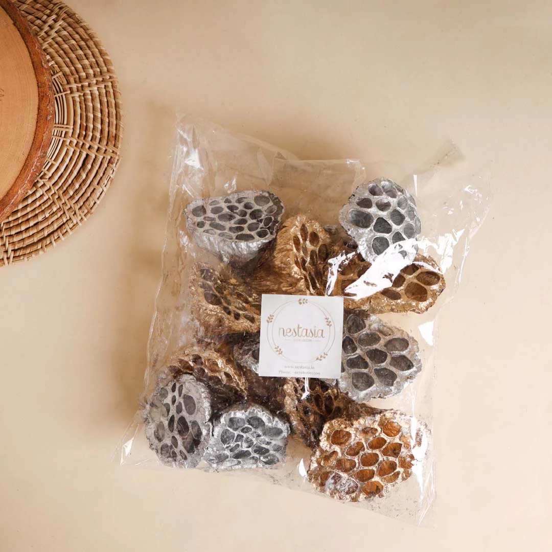 Lotus Pod For Decor - Image 6