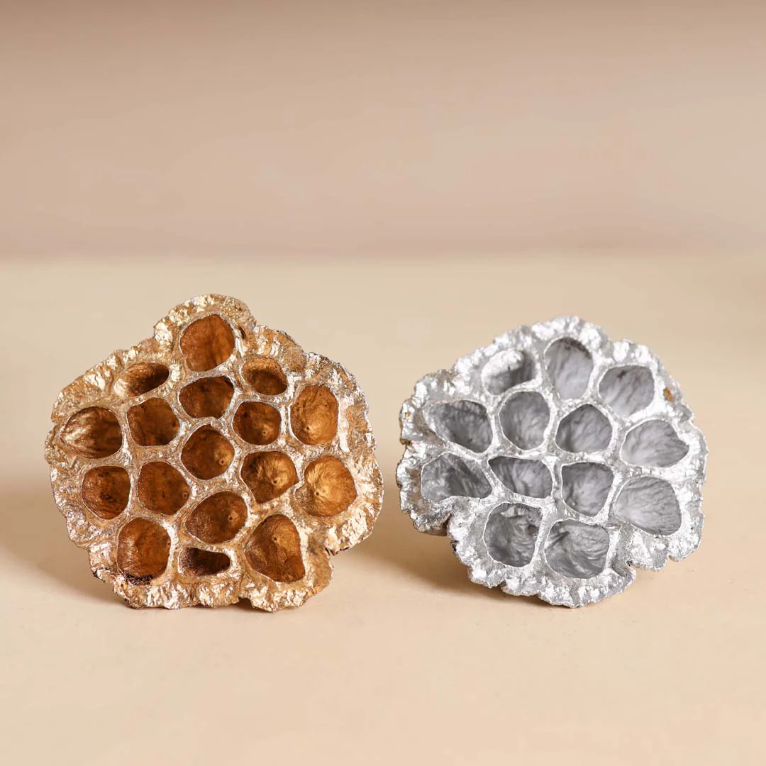 Lotus Pod For Decor - Image 7