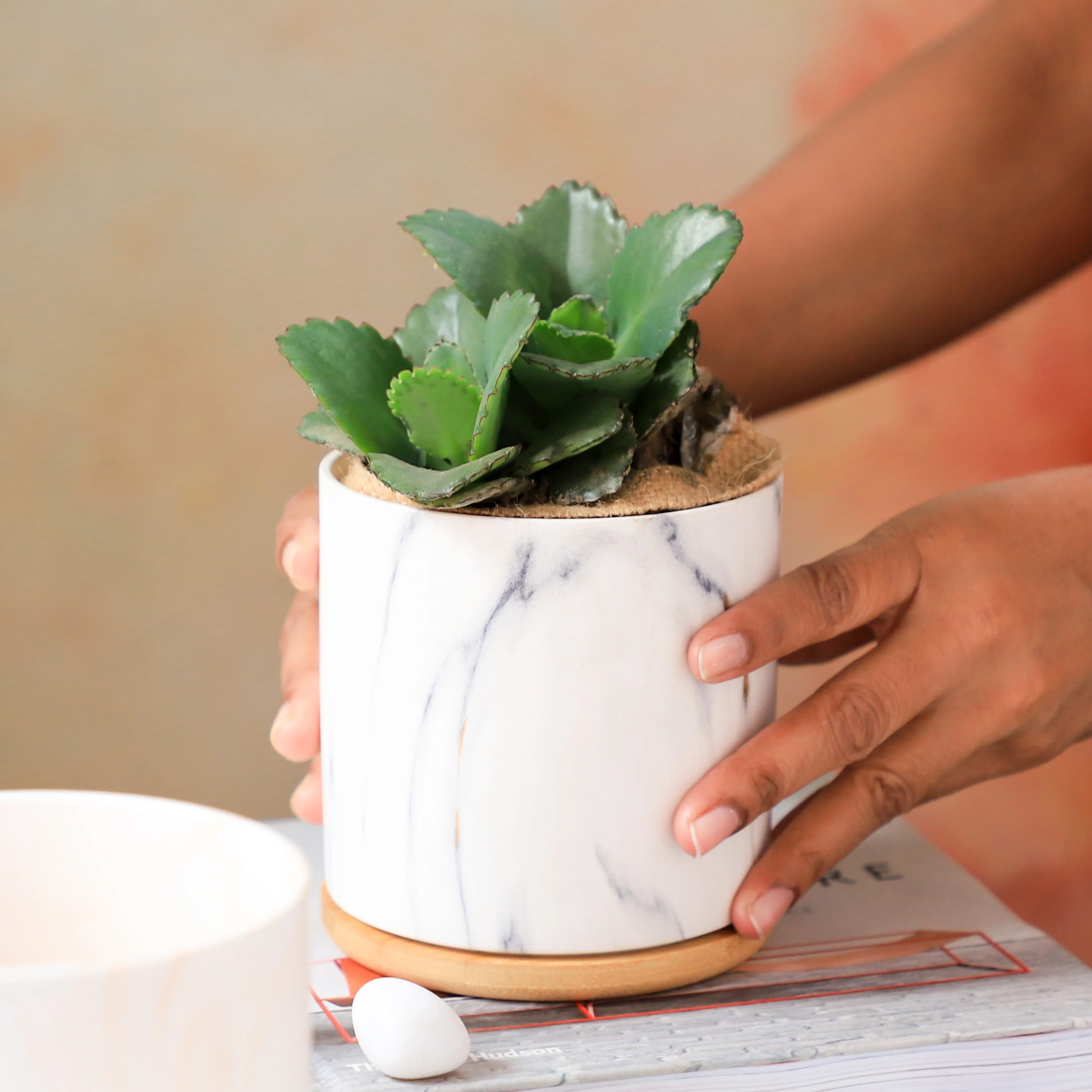 Marble Aura Planter Pot With Coaster Set Of 2 - Image 9