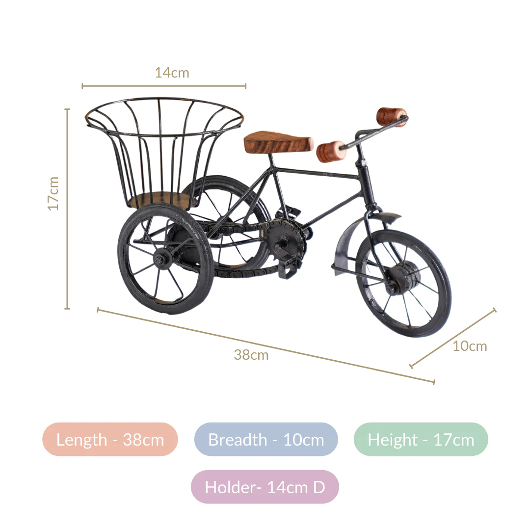 Metal Tricycle French Fry Basket - Image 5