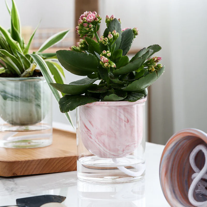 Modern Pink Ceramic Planter With Glass Stand - Image 6