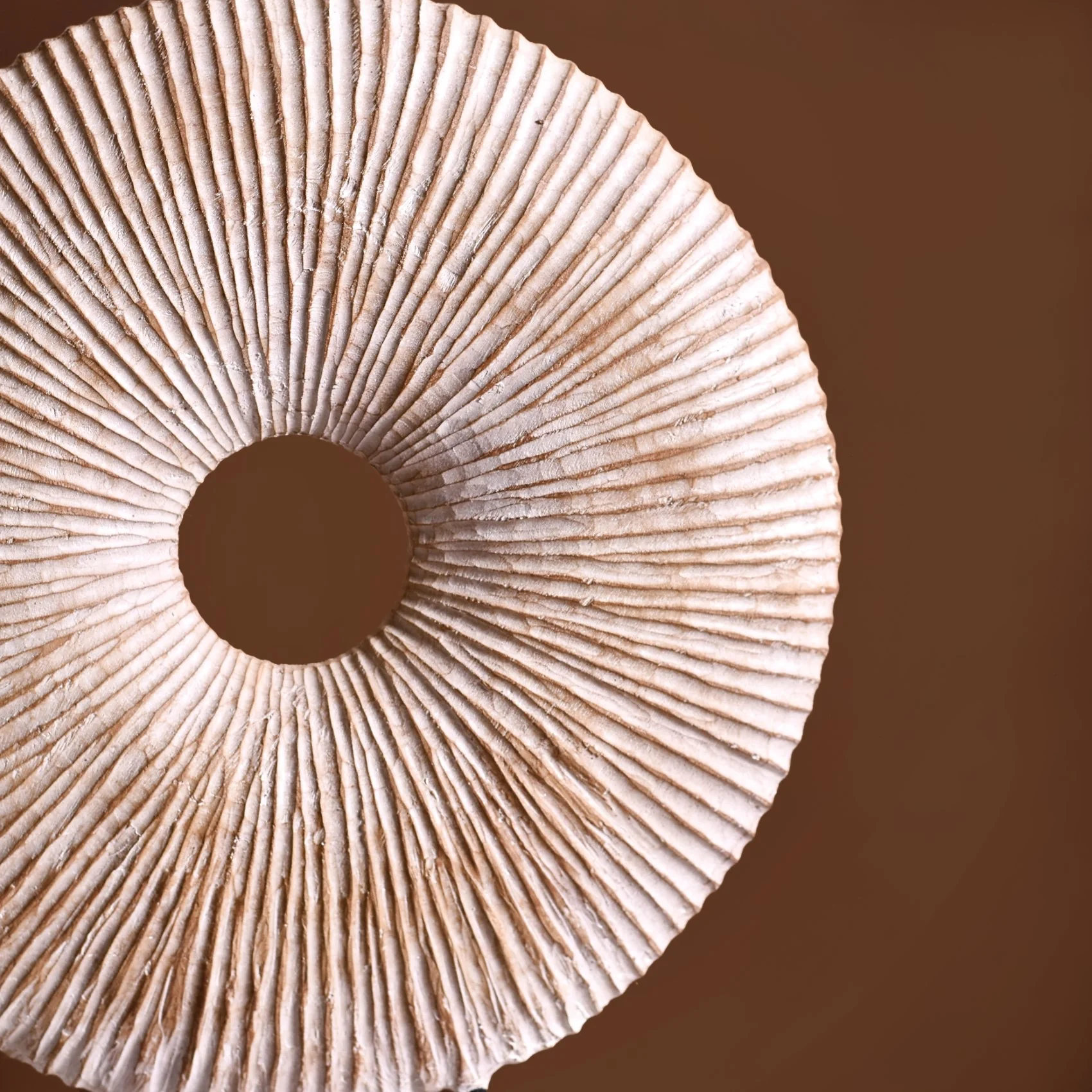 Modern Round Accent Decor - Image 3
