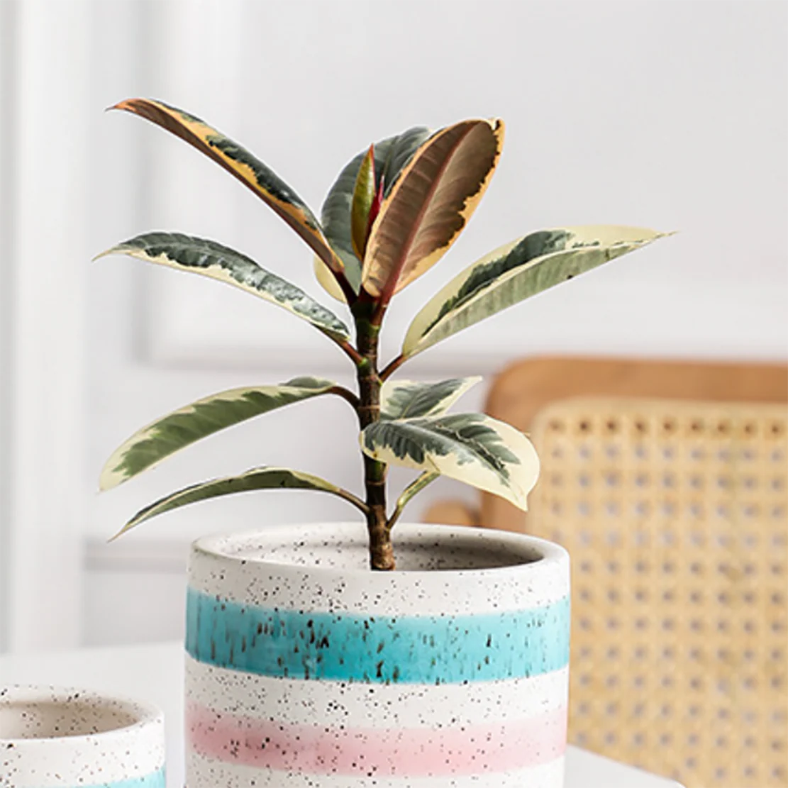 Multicolour Plant Pot Set Of 3 - Image 4