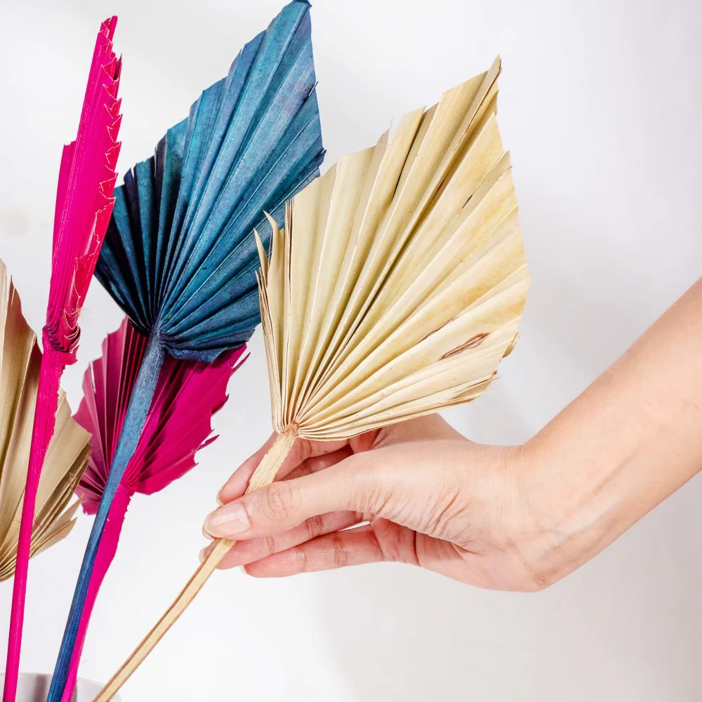 Natural Dried Palm Leaf Bunch 10 Sticks Multicolored - Image 2