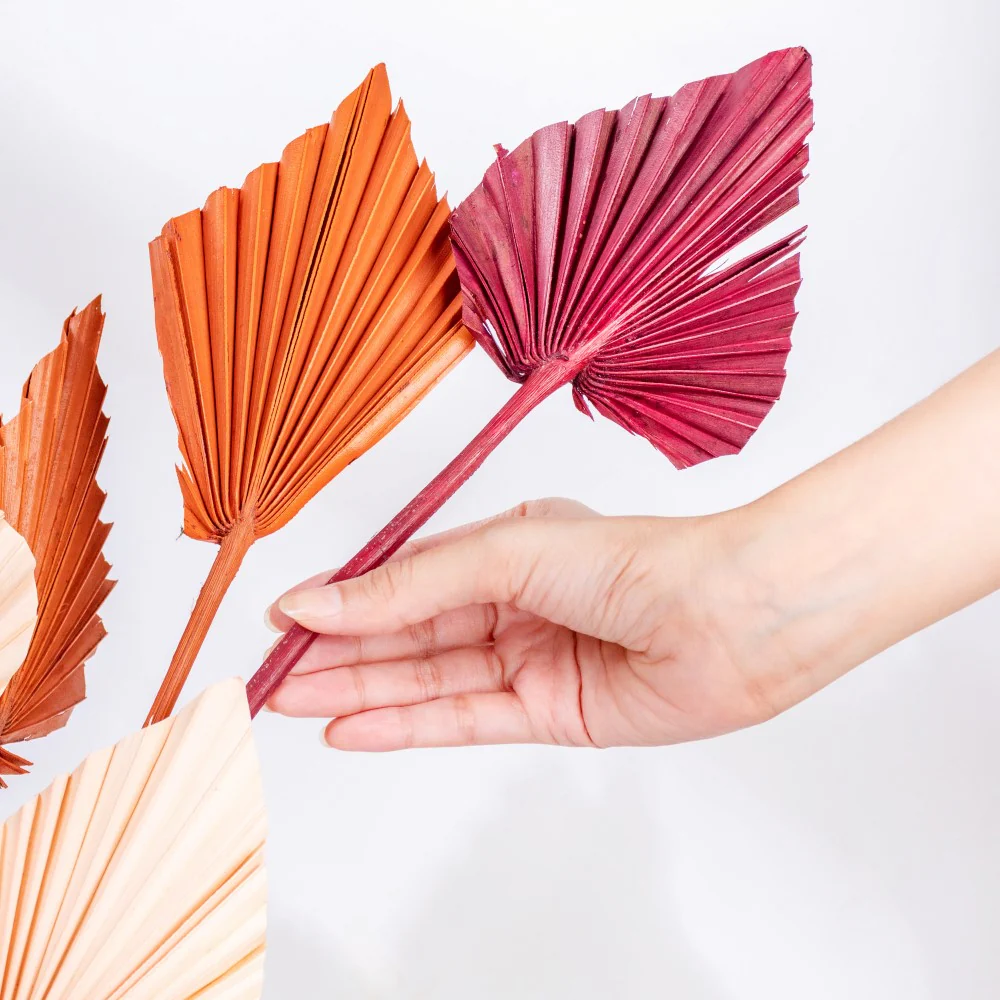 Natural Multicolored Palm Leaf Stems 10 Pieces - Image 2