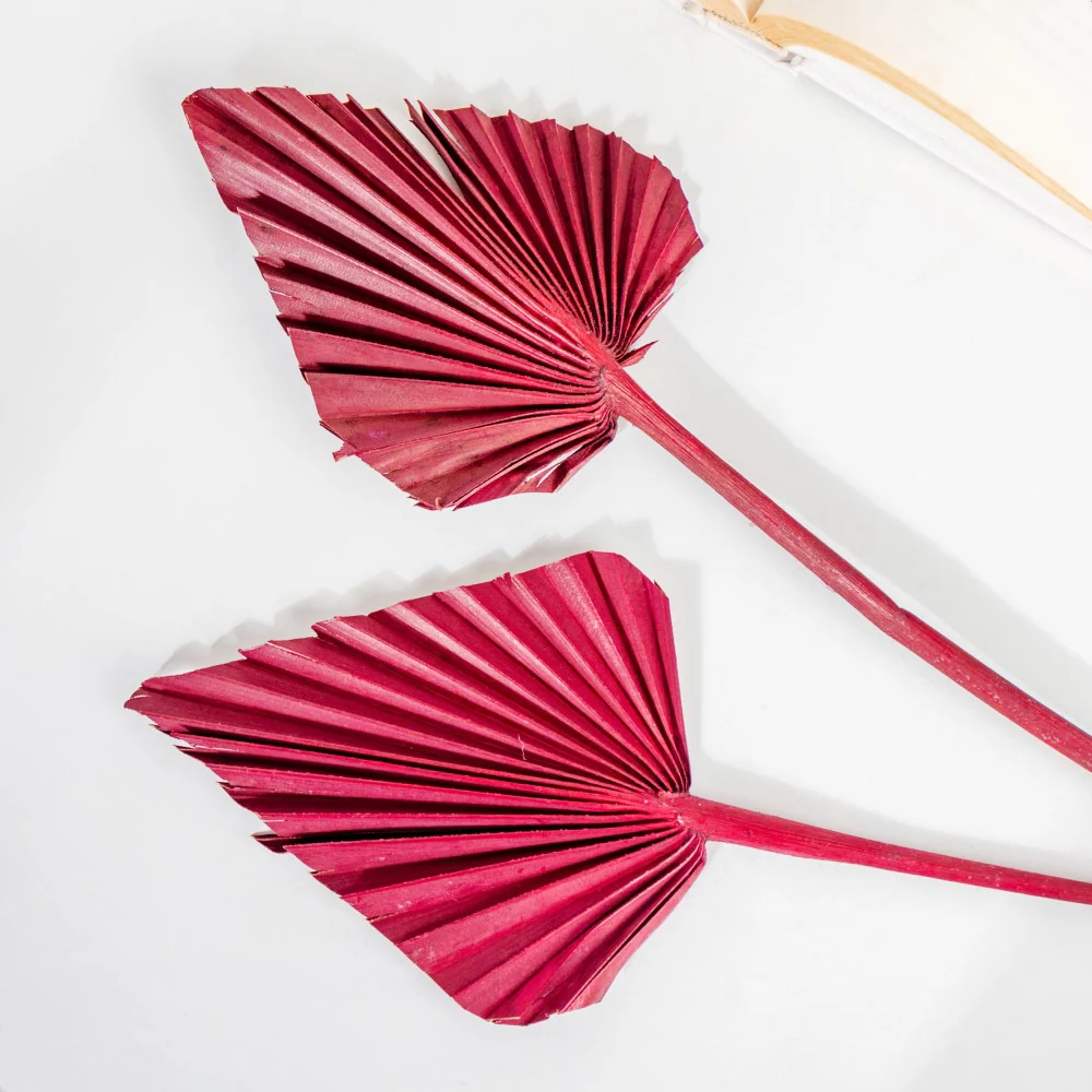 Natural Multicolored Palm Leaf Stems 10 Pieces - Image 5