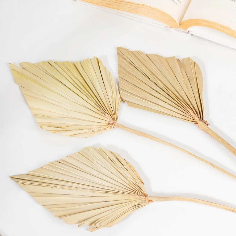 Natural Multicolored Palm Leaf Stems 10 Pieces - Image 7