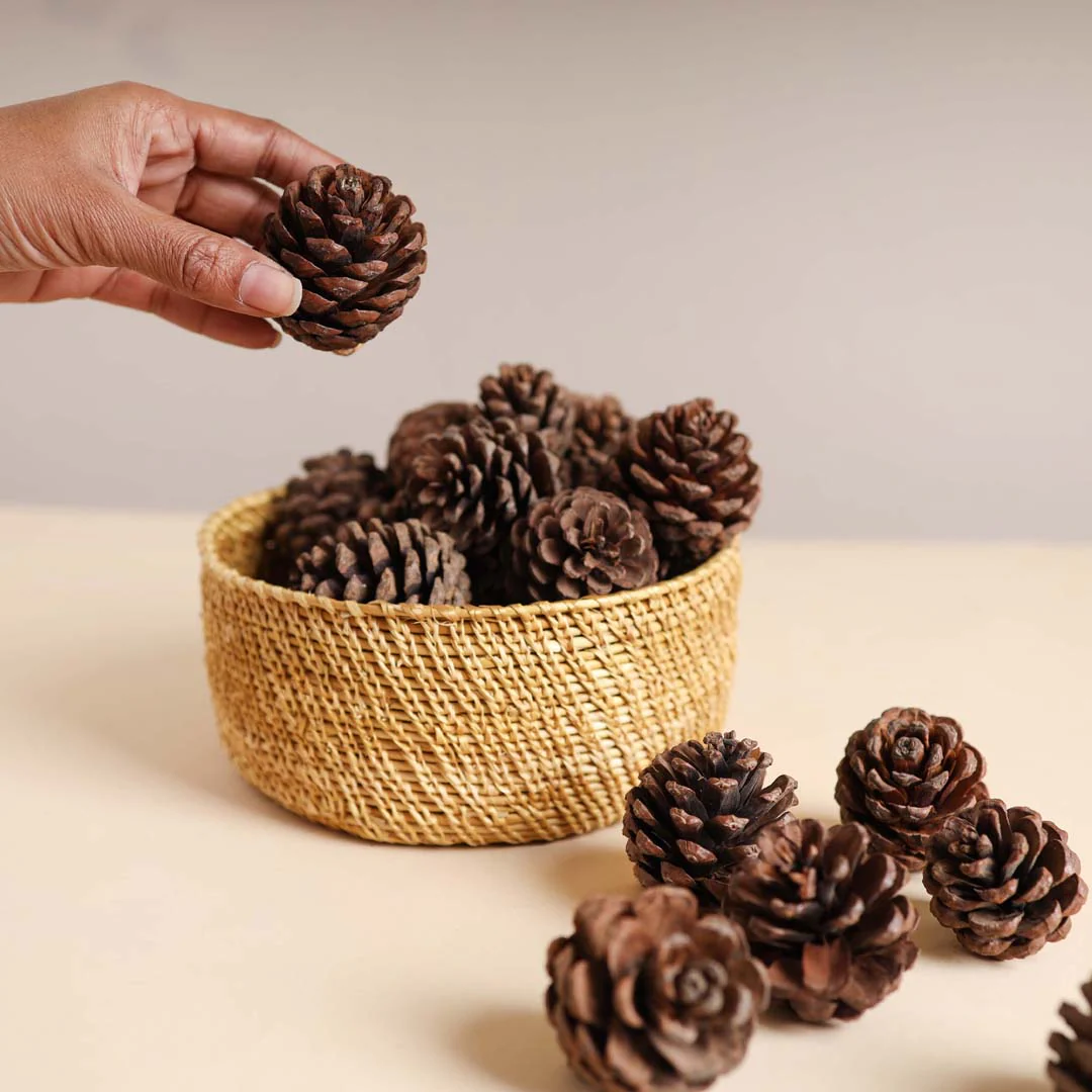 Natural Pine Cones Small - Image 2