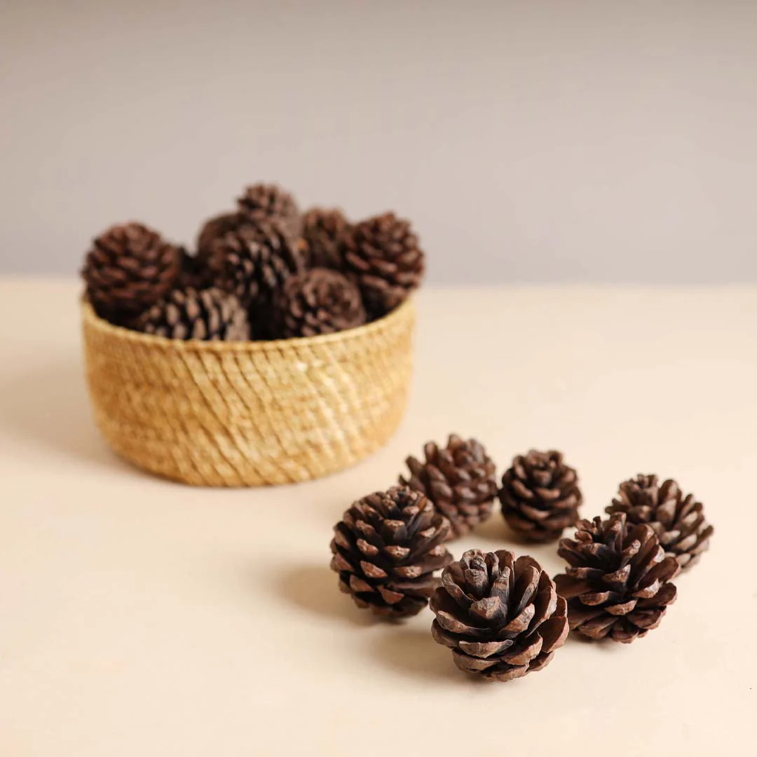 Natural Pine Cones Small - Image 3