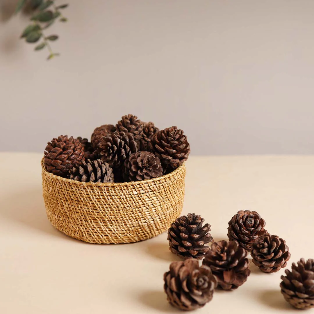 Natural Pine Cones Small - Image 8