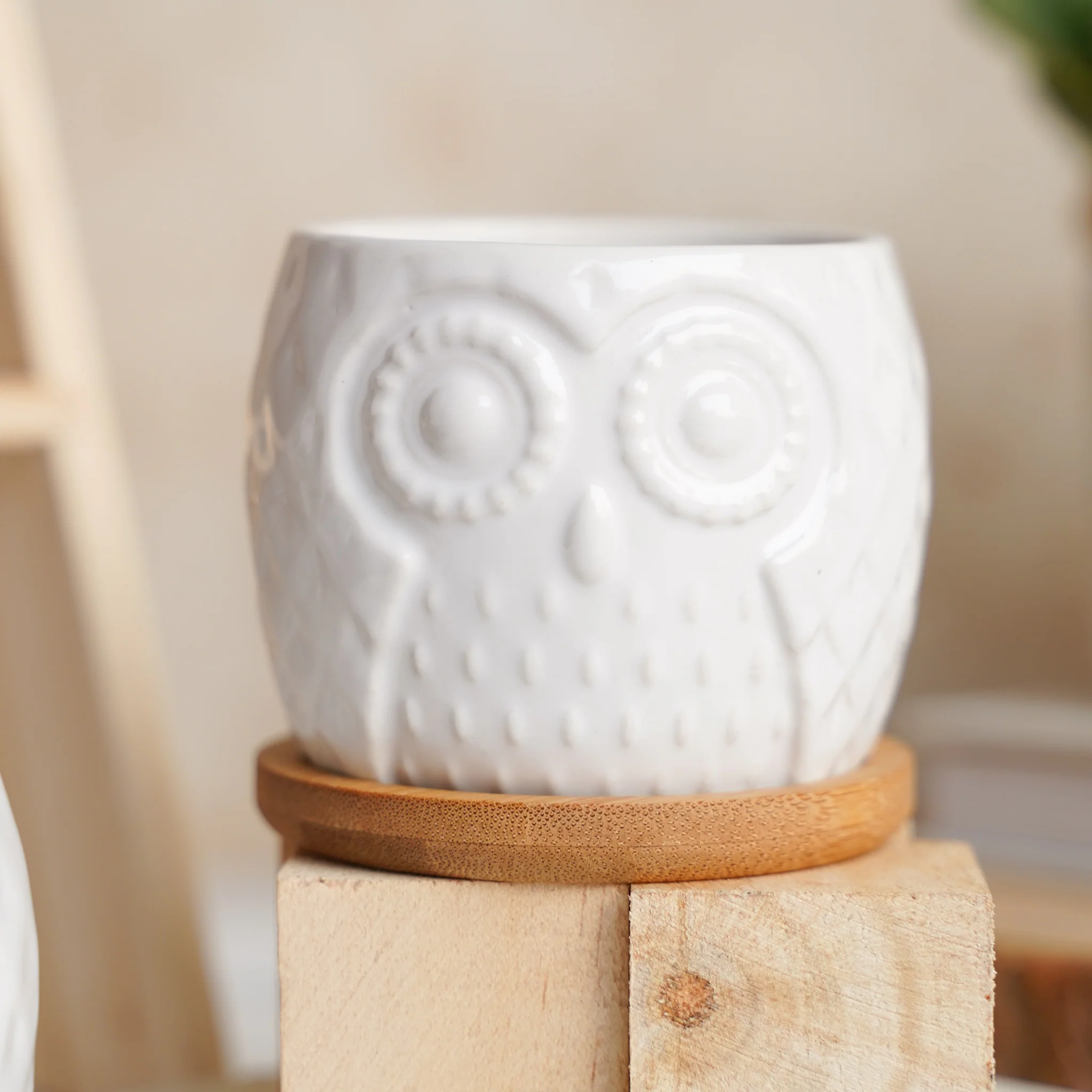 Owl Ceramic Pot - Image 10