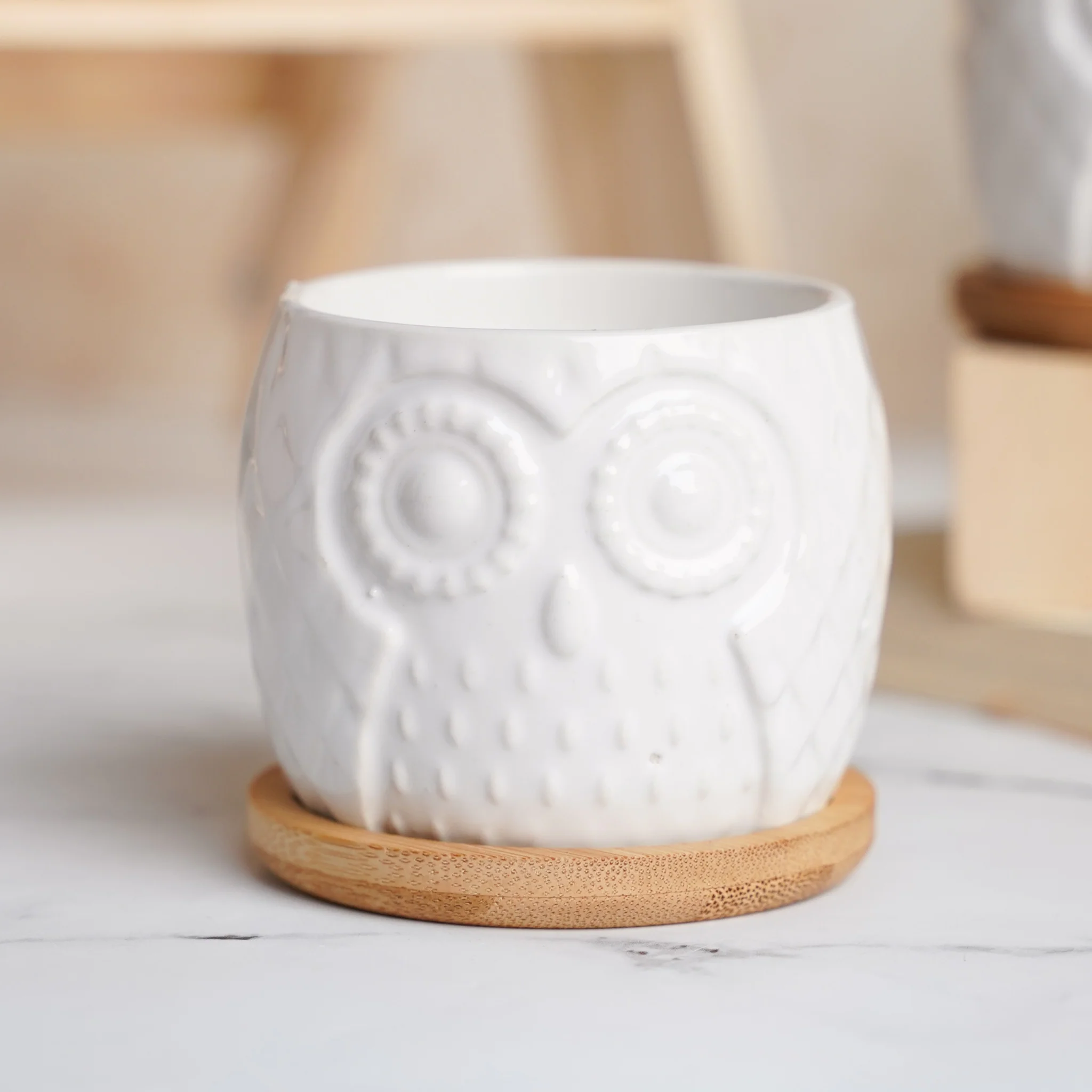 Owl Ceramic Pot - Image 11