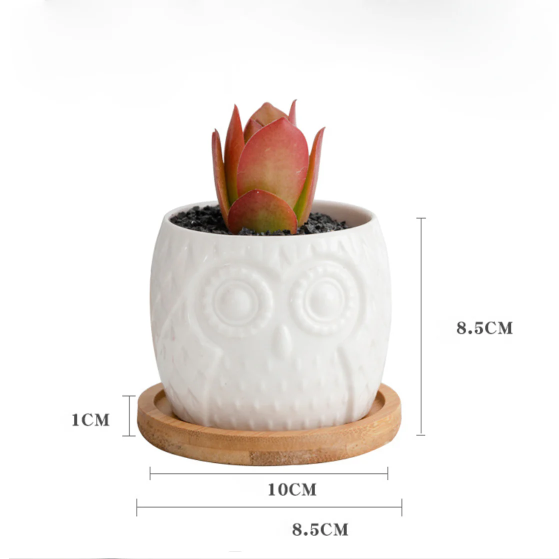 Owl Ceramic Pot - Image 13