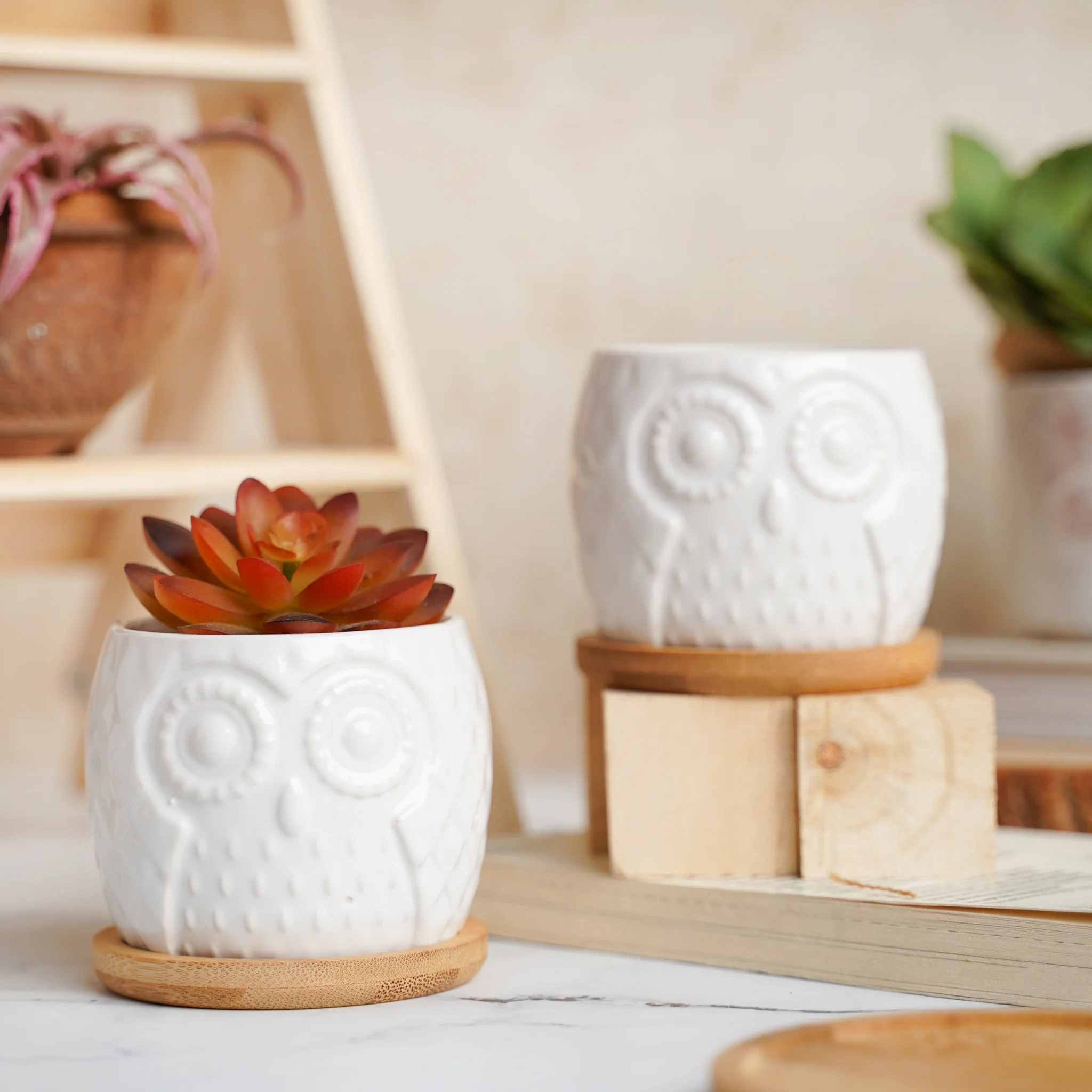 Owl Ceramic Pot - Image 2