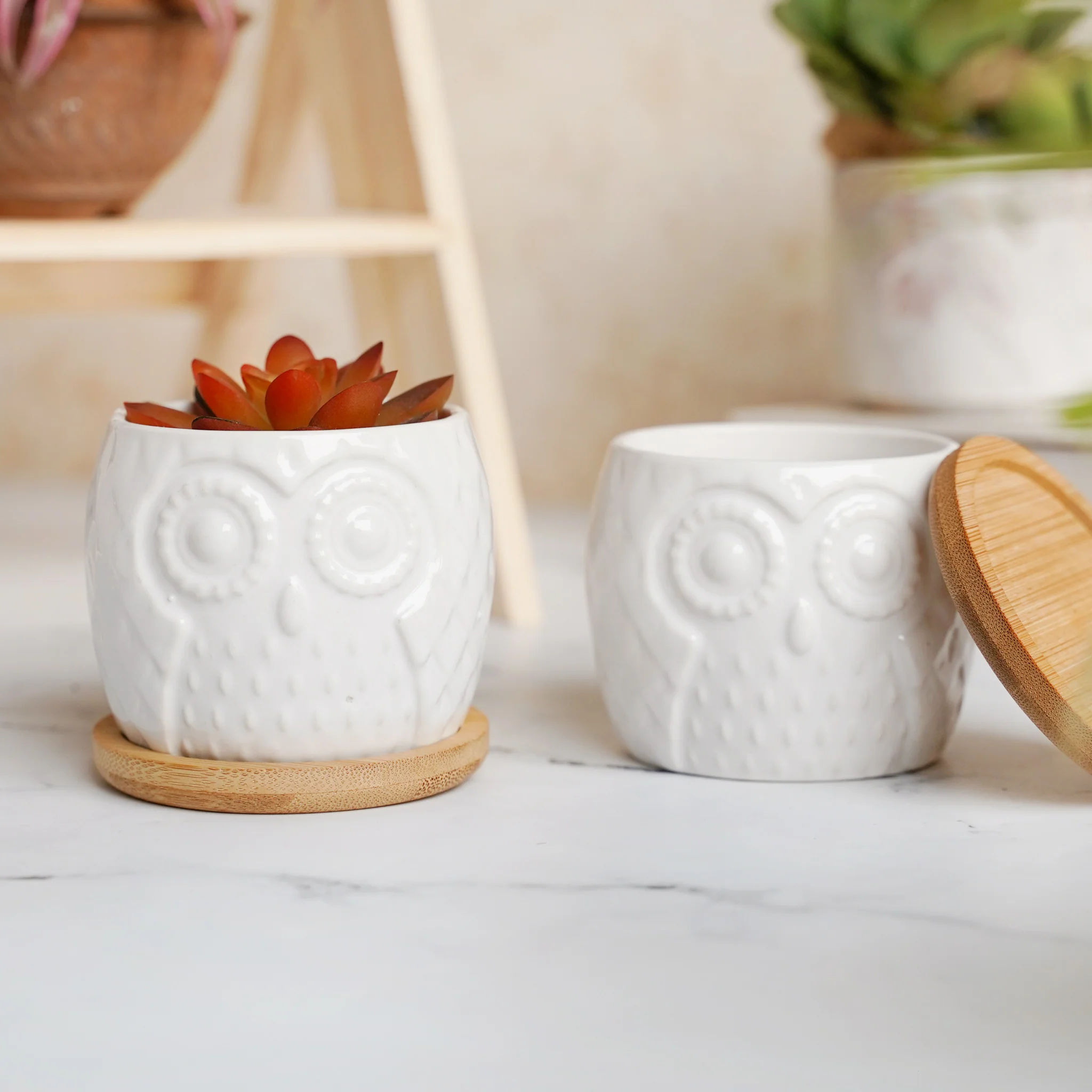 Owl Ceramic Pot - Image 3
