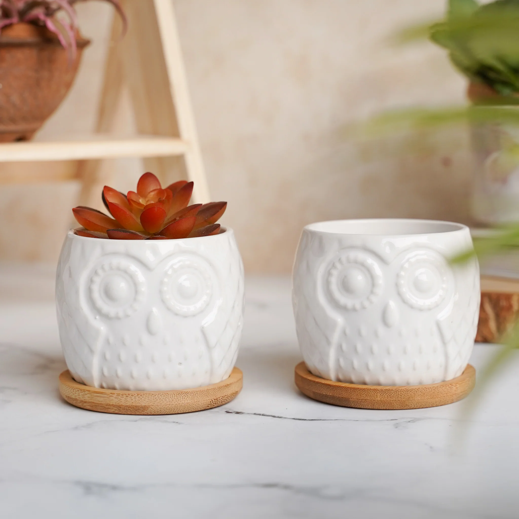 Owl Ceramic Pot - Image 4