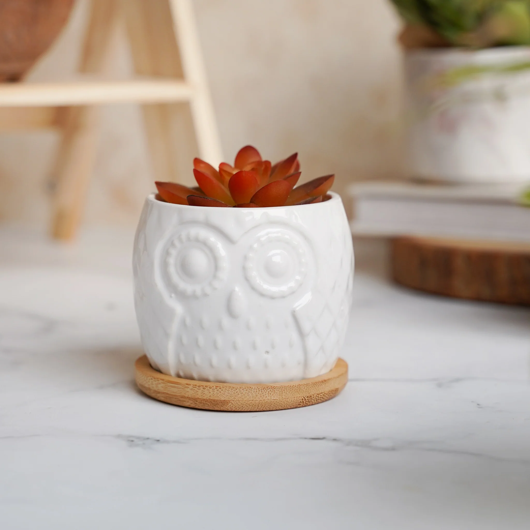 Owl Ceramic Pot - Image 5