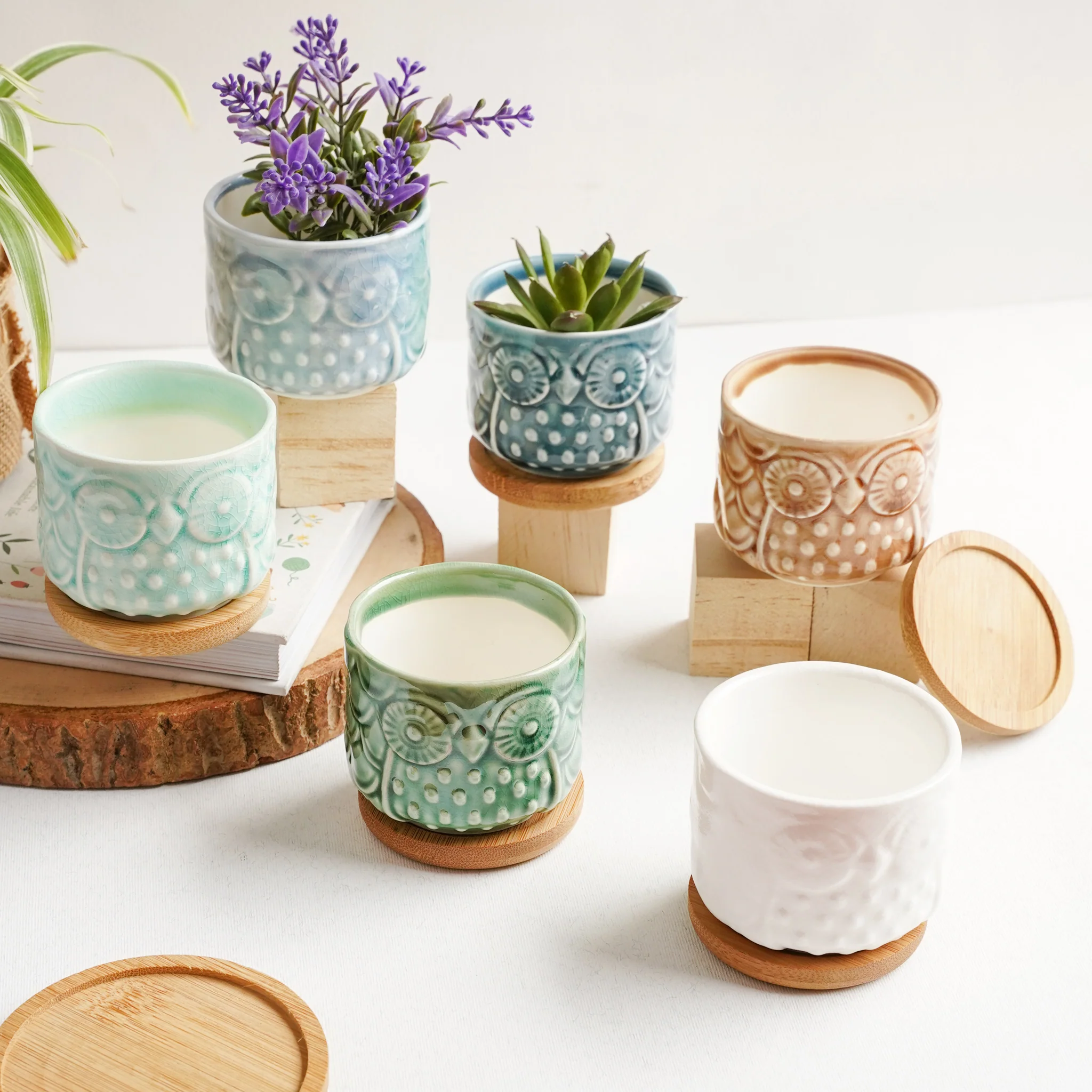 Owl Plant Pot - Image 6