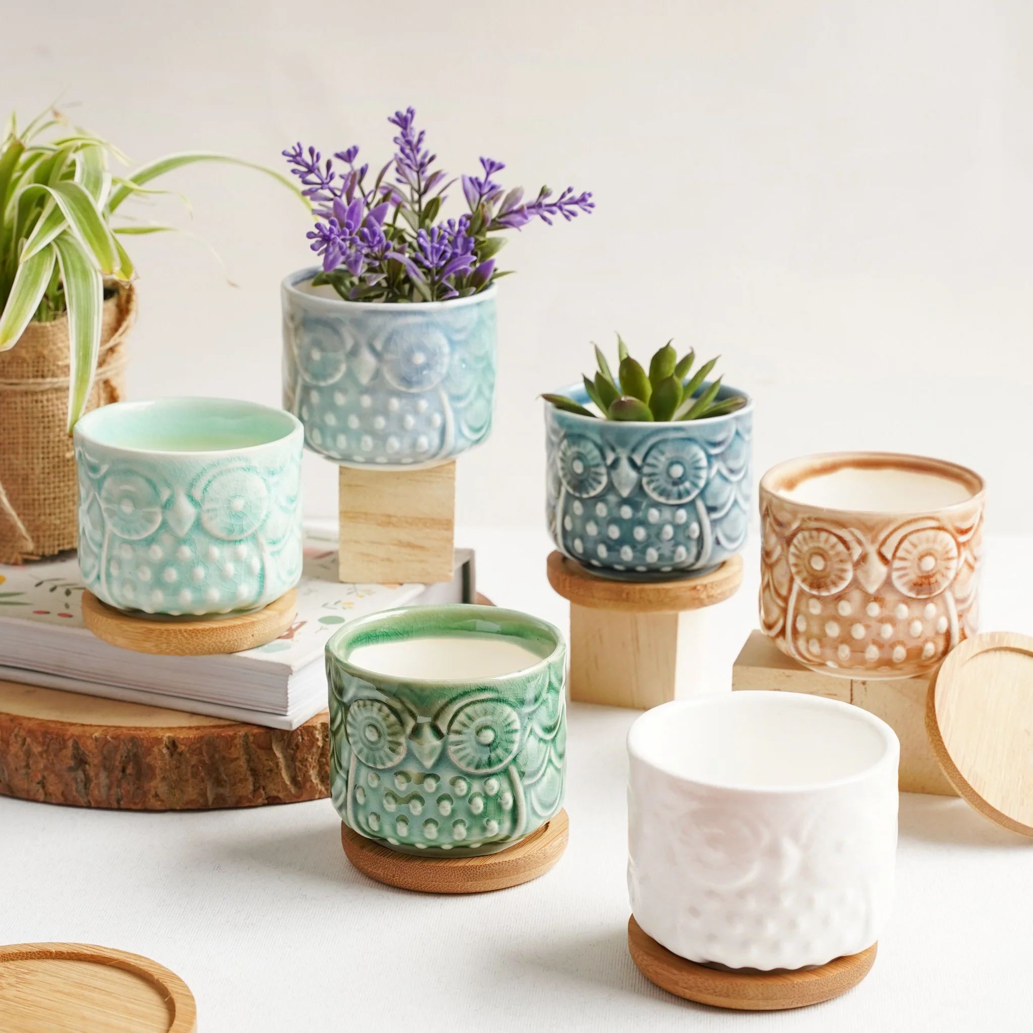 Owl Plant Pot - Image 7