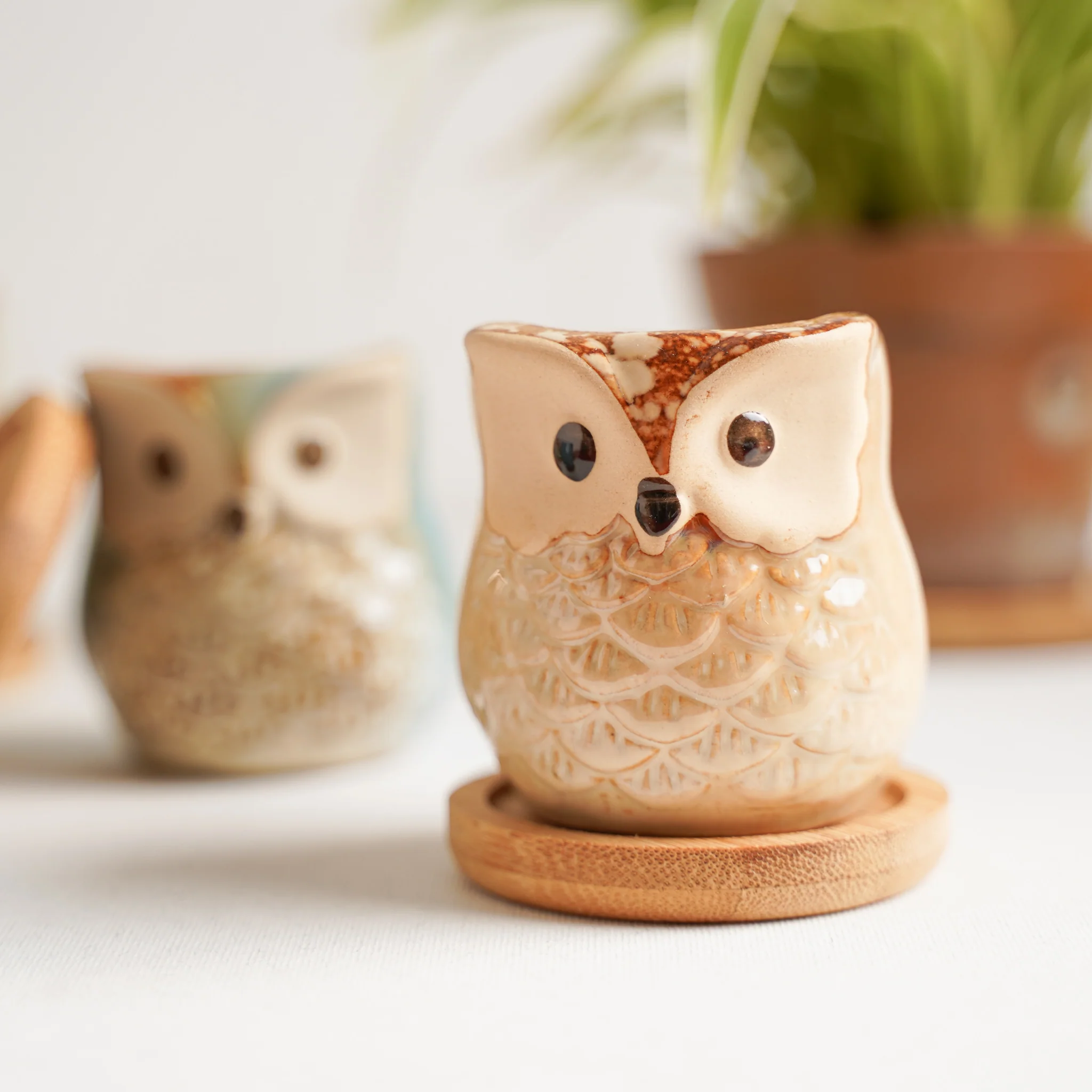Owl Planters Set of 6 - Image 16