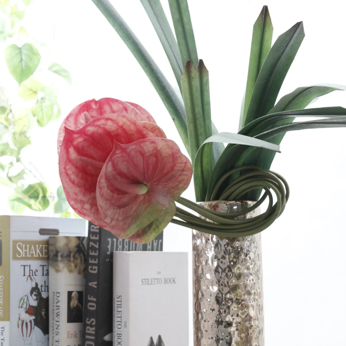 Anthurium - Image 10