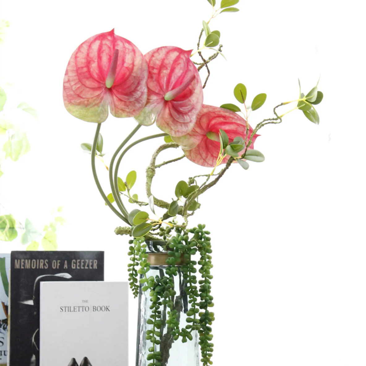 Anthurium - Image 3