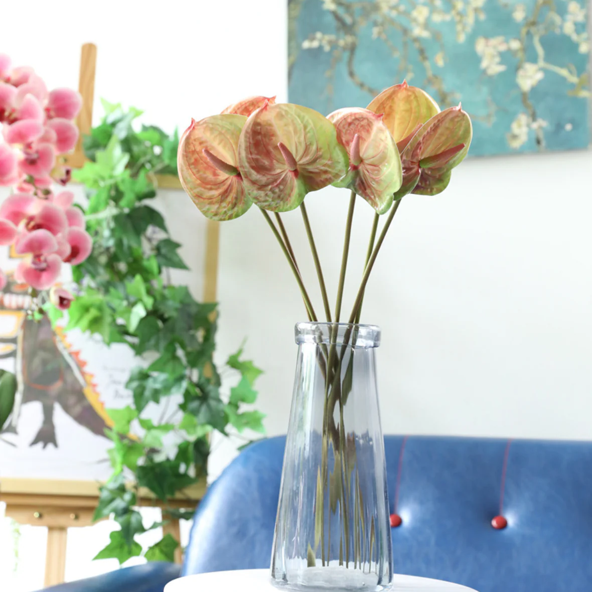 Anthurium - Image 4