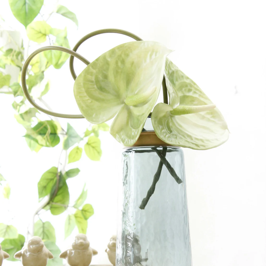 Anthurium - Image 5